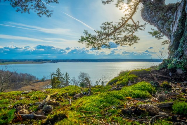 281277-nature-landscape-summer-river-trees-grass-clouds-sunlight-sky-Sweden.jpg