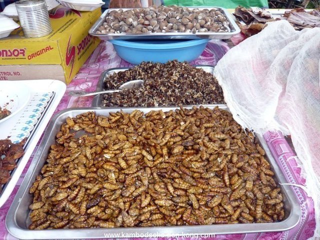 edible-insects-1.jpg