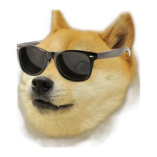 doge.jpg