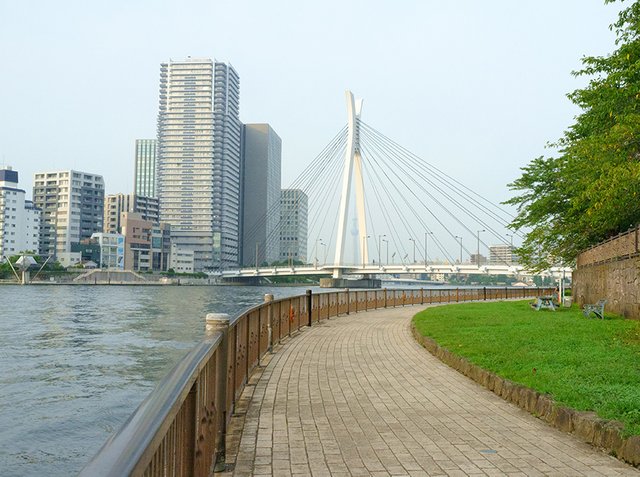 sumida4.jpg