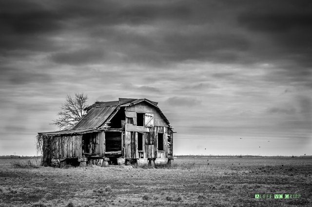 B&W - Old farm barn-1.jpg