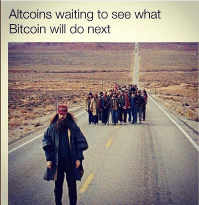 bitcoin vs alts2.PNG