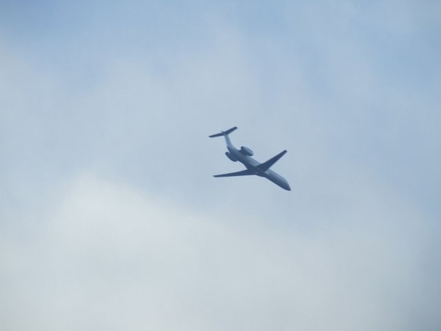 DSCF0097.JPG