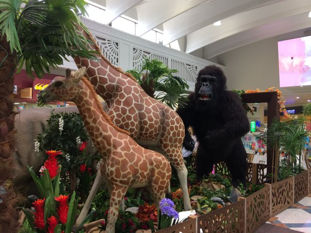 Jumanji in the Shopping Mall : Erina Fair Gosford Australia NSW — Steemit