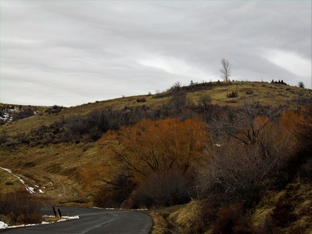 DSC00180 (2).JPG