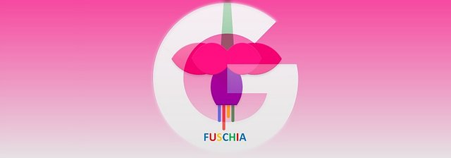 Google-Fuschia-Operating-System-3.jpg
