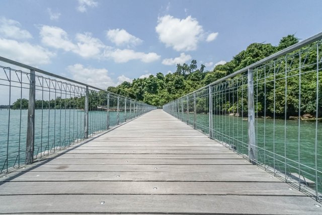 boardwalk-pulau-ubin-3.jpg