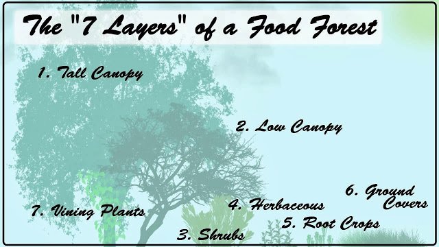 Food Forest layers.jpg