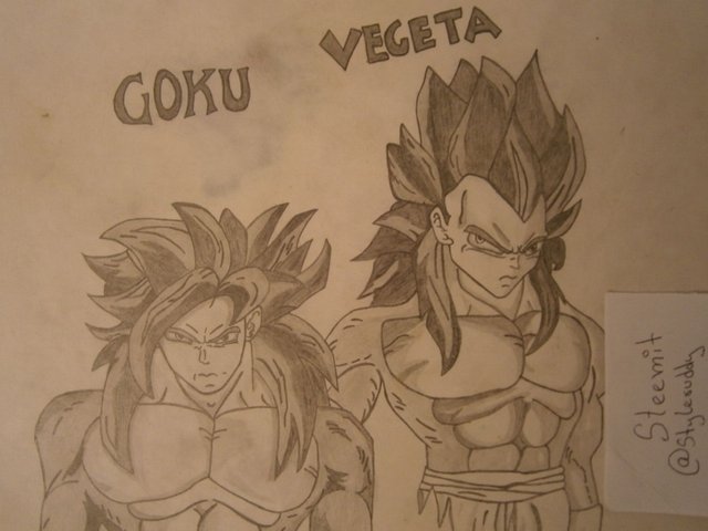 goku & vegueta.JPG