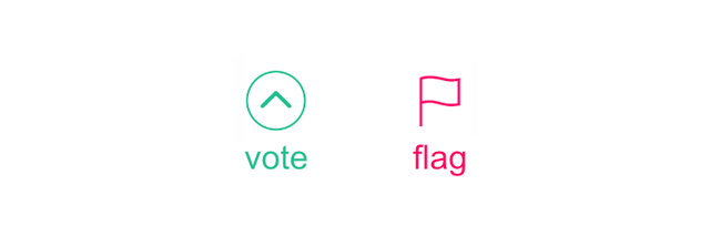 vote 和 flag