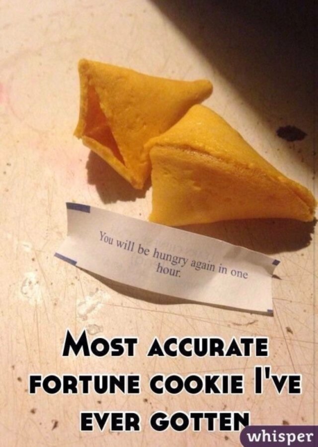 IMG_3315.PNG