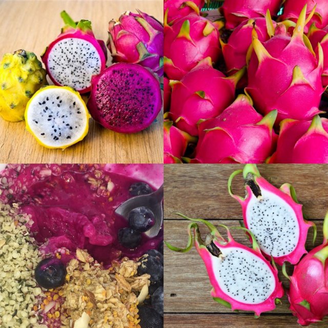 dragonfruit-collage.jpg