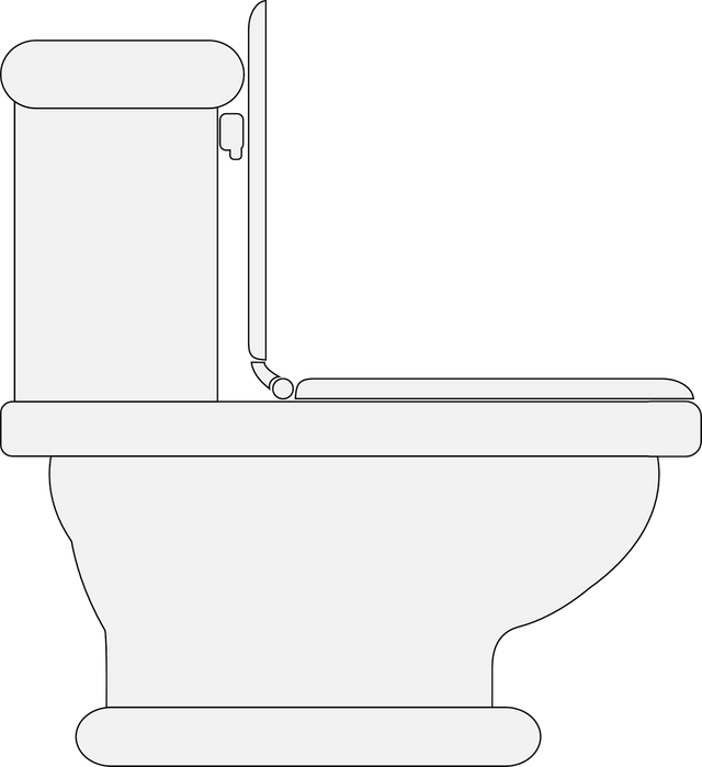toilet-145802_1280.png