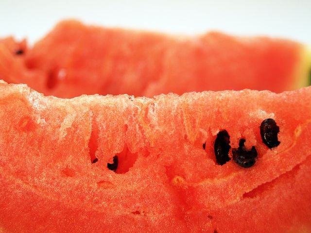 watermelon-1549241__480.jpg