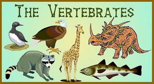 vertebrates.jpg