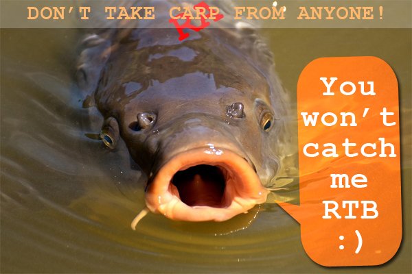 carp.jpg