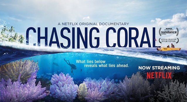 Chasing Coral Small Poster_preview.jpeg