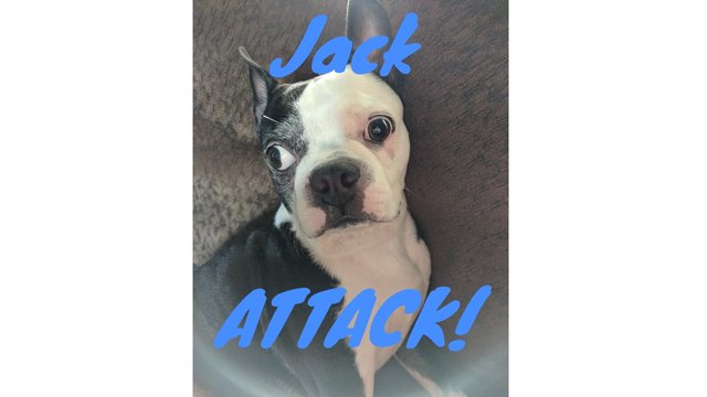 Thumbnail_Jack ATTACK (1).jpg