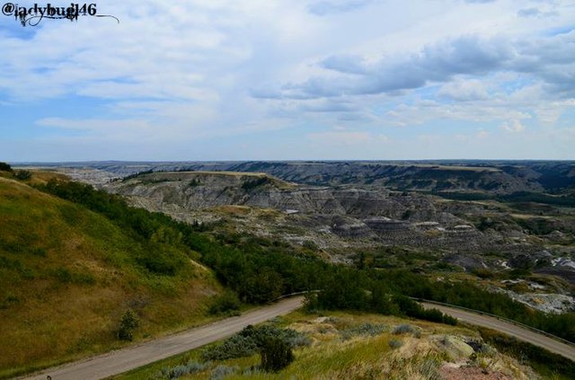 dry island buffalo jump4.jpg