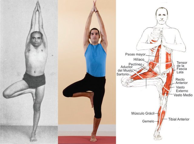 vrikshasana-trio-a1.jpg