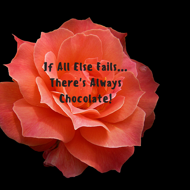 If All Else FailsThere's AlwaysChocolate.png