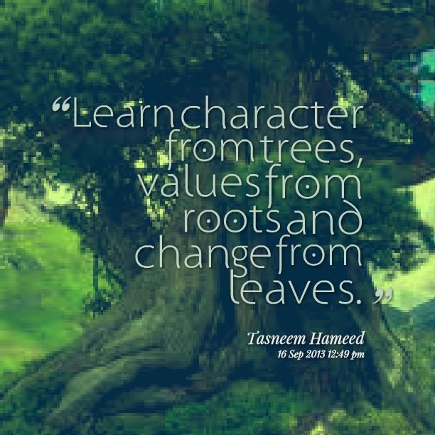 Learn character from trees.jpg