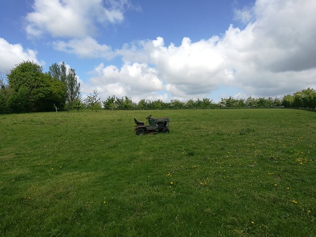 field.jpg