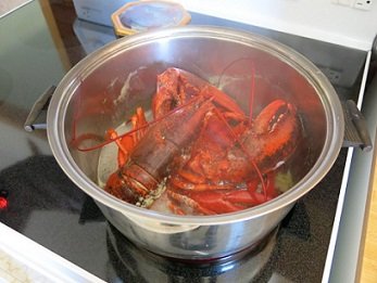 7-Steamed-Lobster.jpg