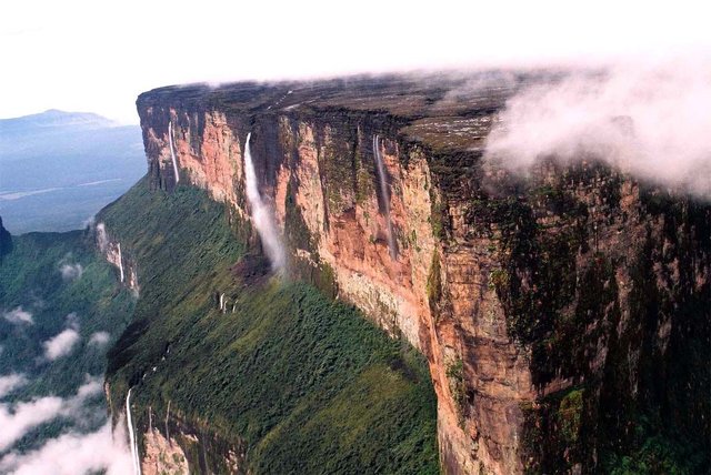 roraima viral diario.jpg