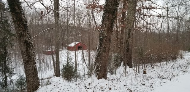20180116_164951 - barn and shedin snow.jpg