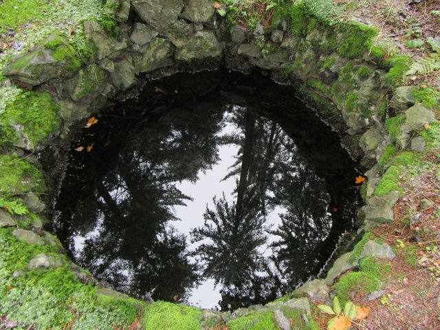 Temná studánka - zrcadlení.JPG