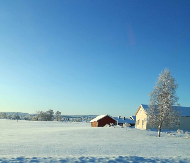 Winter day sky in Steemit Blog