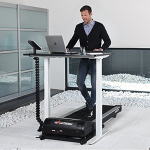 walkdesk_office1.jpg