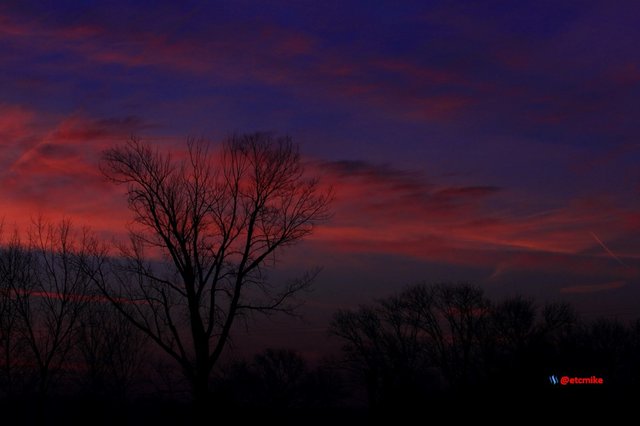 pink sunrise dawn SR15-17.JPG