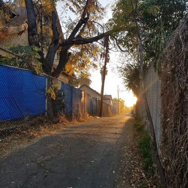 20180105_071909.jpg