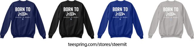 Born To Steem Unisex Crewneck Sweatshirt.jpg