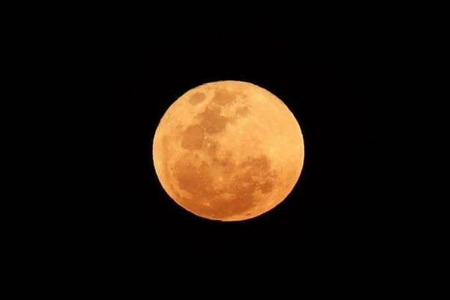 moon2.jpg