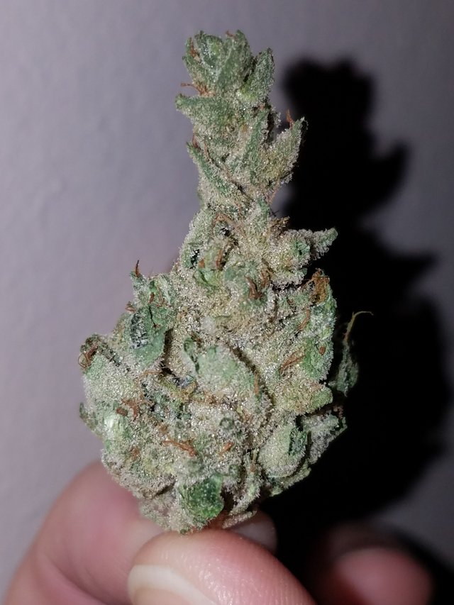 👀🔥Sour Joker by GTI Rhythm Research Illinois Medical Cannabis Product