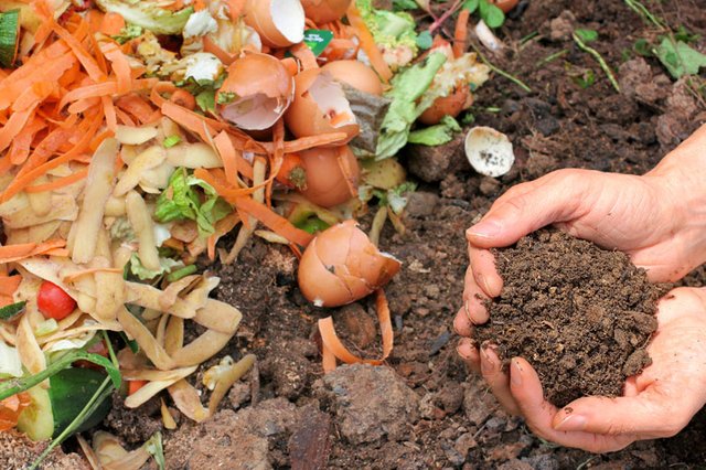 compost-casero800.jpg