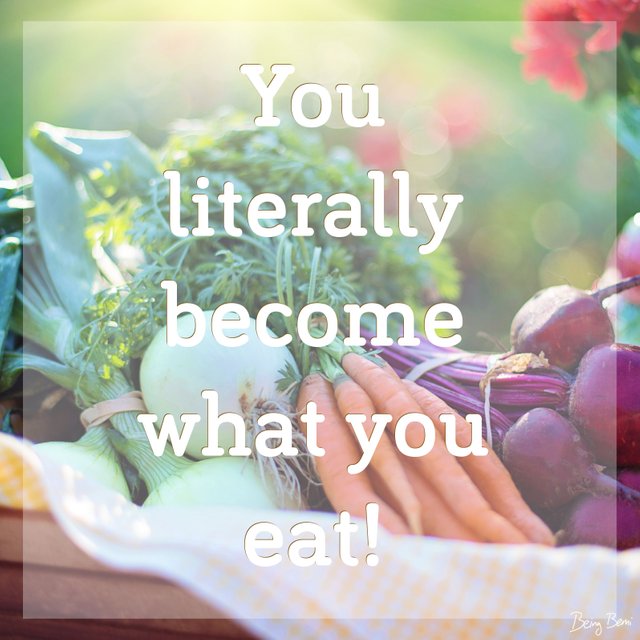 You become what you eat.jpg