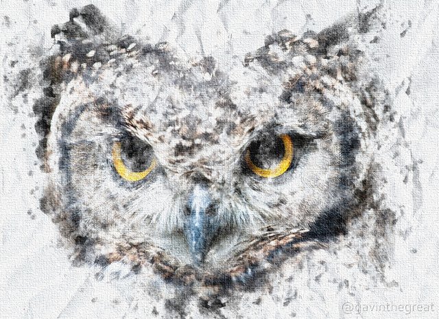 Owl Watercolor.jpg