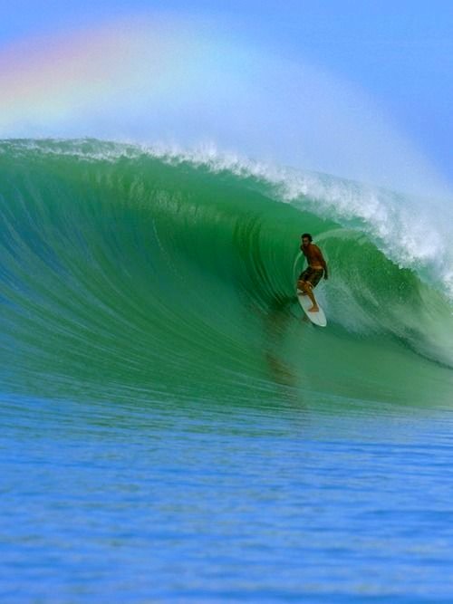 surf the wave.jpg