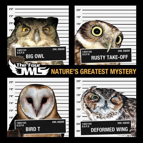 Four_Owls_-_Natures_Greatest_Mystery_532fab52-f474-43a5-86c1-679dafb4ed9f_large.jpg