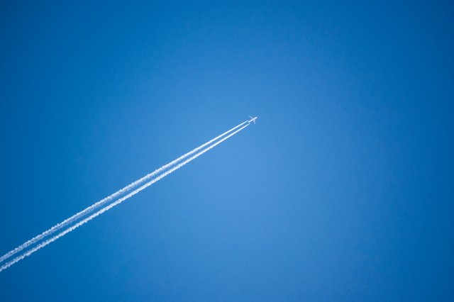 DSC_3443.jpg