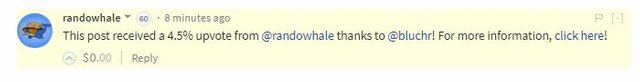 whale.JPG