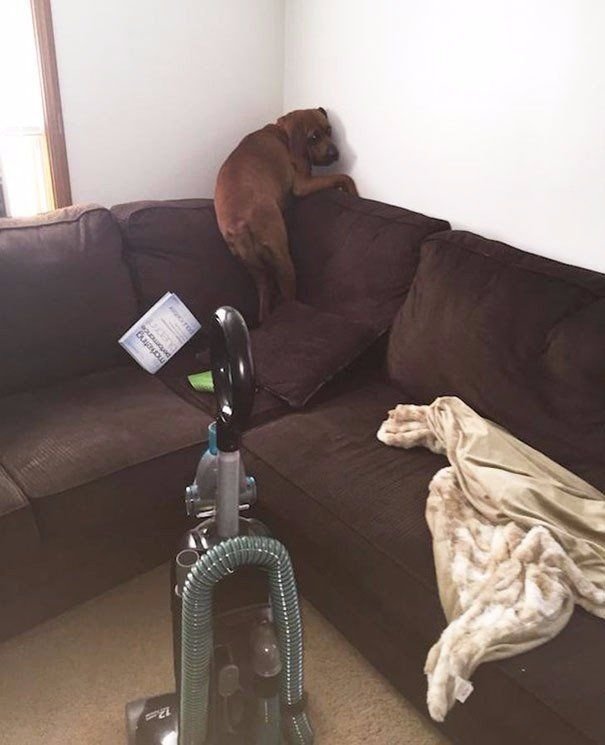 vacuumcleaner.jpg