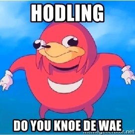 hodling-do-you-knoe-de-wae.jpg