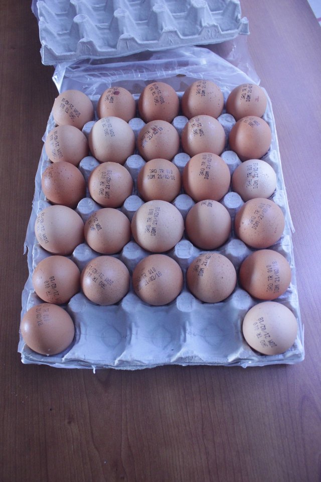 Eggs Start IMG_1814.JPG