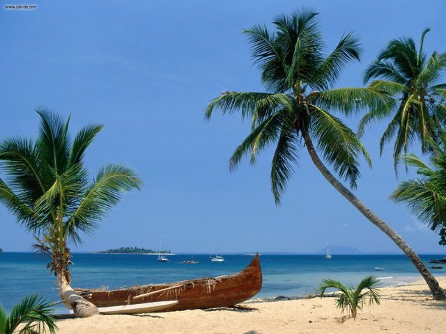 Beached_Madagascar_1440x1080.jpg