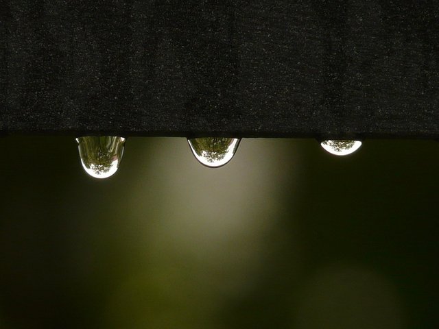 drip-8763_960_720.jpg